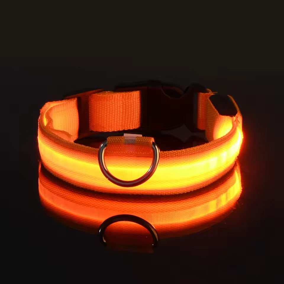 LED Nylon Dog Collar – USB Rechargeable or Battery Powered Safety Light