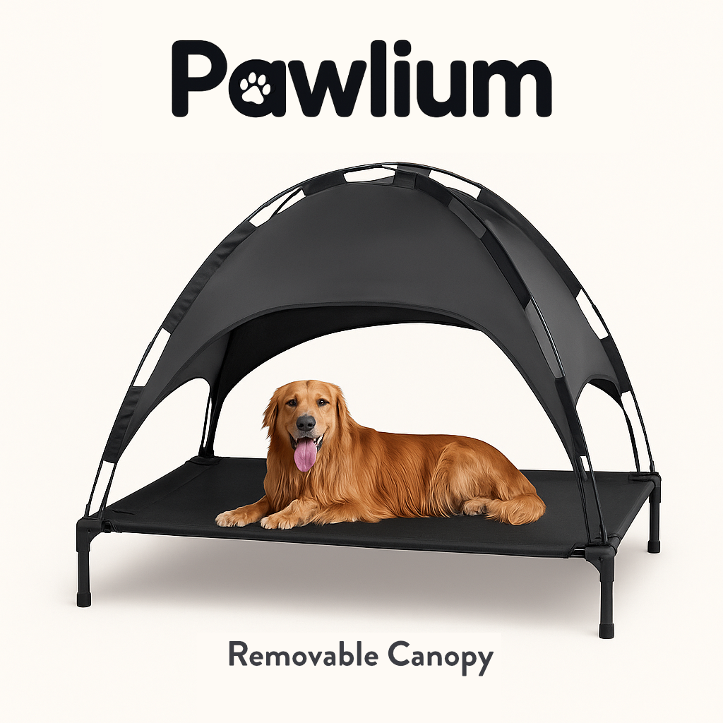 Elevated Dog Bed with Canopy – Breathable Outdoor Lounger for Small to Medium Dogs