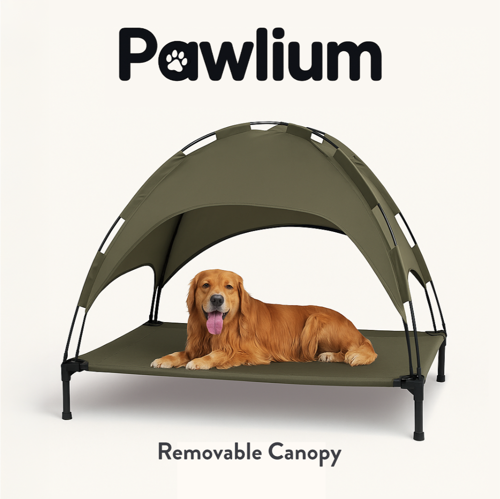 Elevated Dog Bed with Canopy – Breathable Outdoor Lounger for Small to Medium Dogs